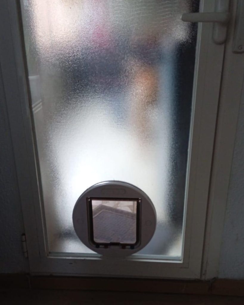 Inicio 4 Diseño sin título (6)