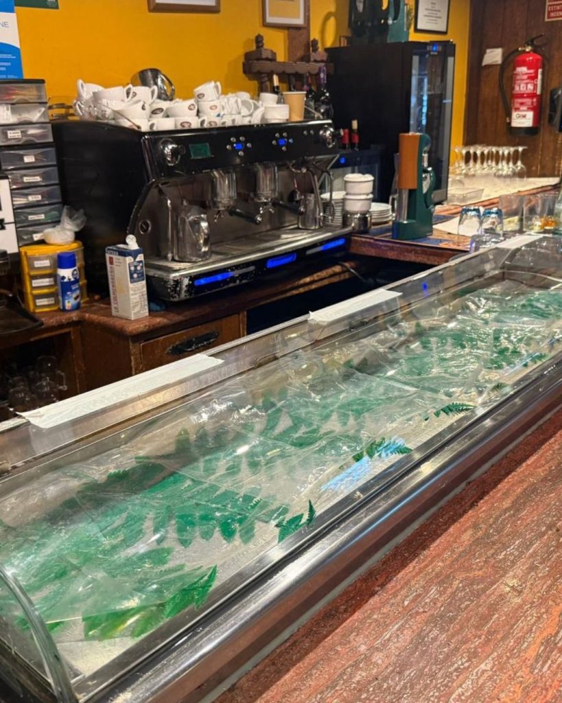 Inicio 3 Diseño sin título (7)